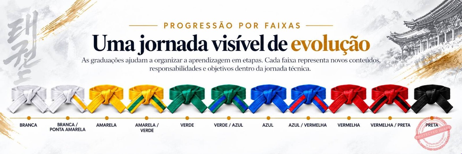 Progressão por Faixas Coloridas no Taekwondo Oficial